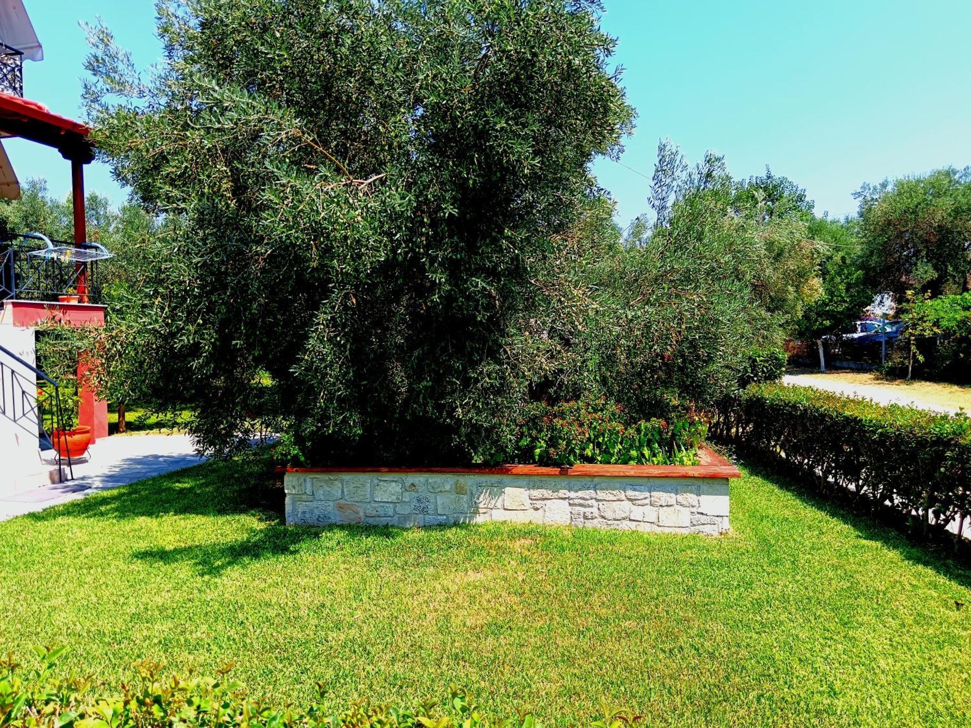 Giorgos Apartments Skala Fourkas Luaran gambar