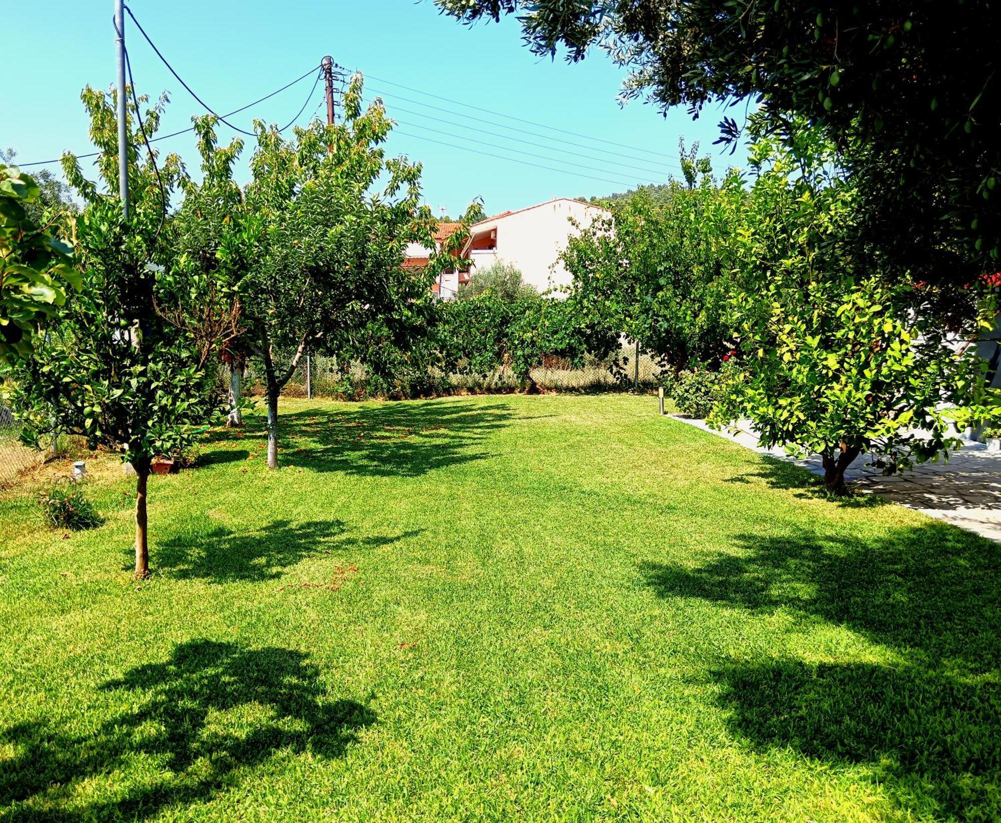Giorgos Apartments Skala Fourkas Luaran gambar